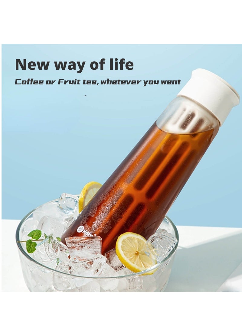 zeroHero Fanjing Cold Brew Coffee Maker Bottle 650ml with Multiple Uses + Brush + Filter - Using Borosilicate Cold and Heat Resistant Glass