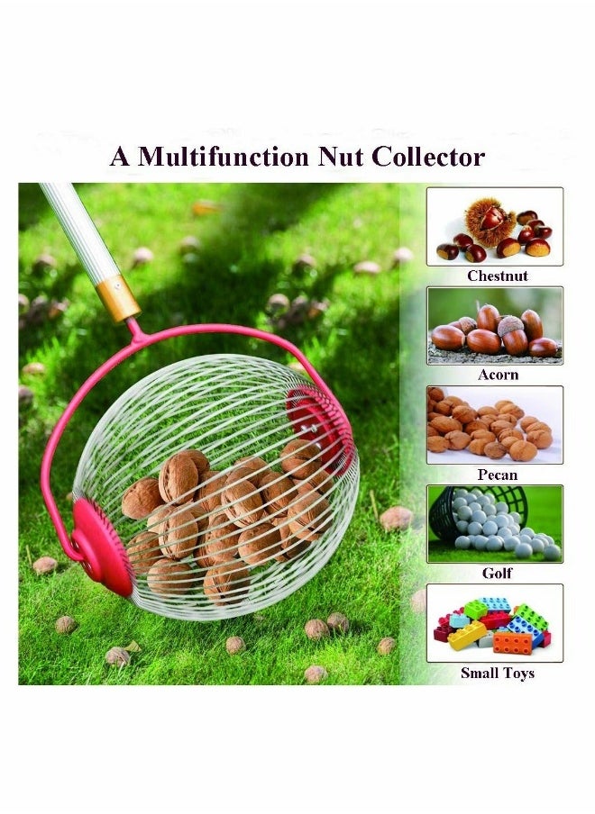 Nut Harvester Ball Picker Stainless Steel Adjustable Lightweight Collect Walnuts, Pecans, Crab Apples, Nerf Darts and Small Fruit Objects 1''to 3'' in Size