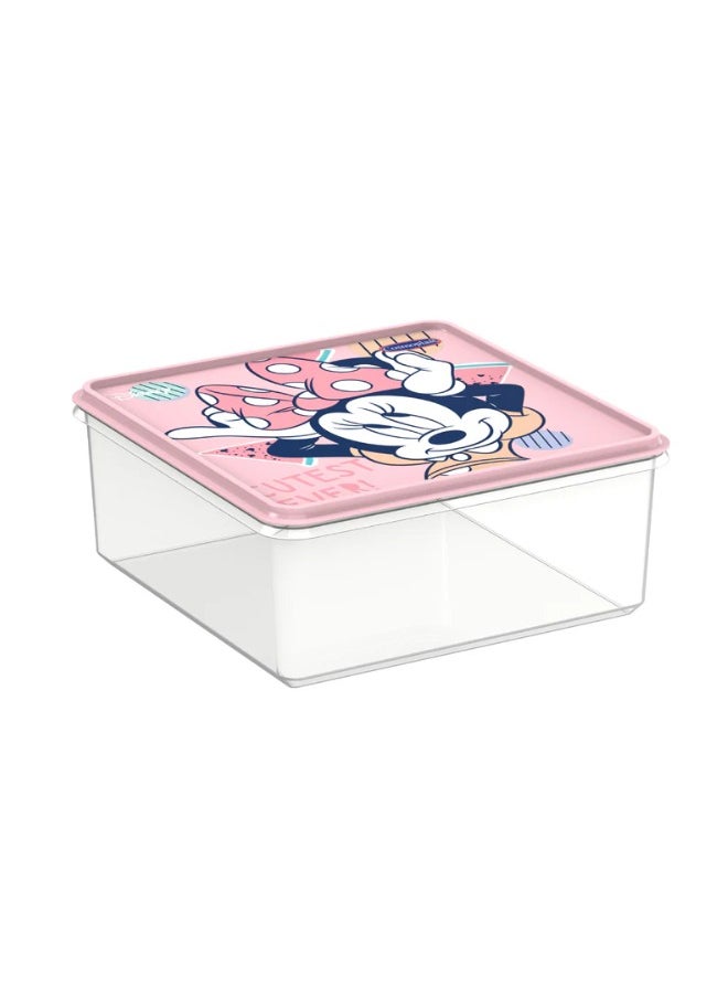 Disney Mickey & Friends Girls Plastic Storage Box 10 Liters