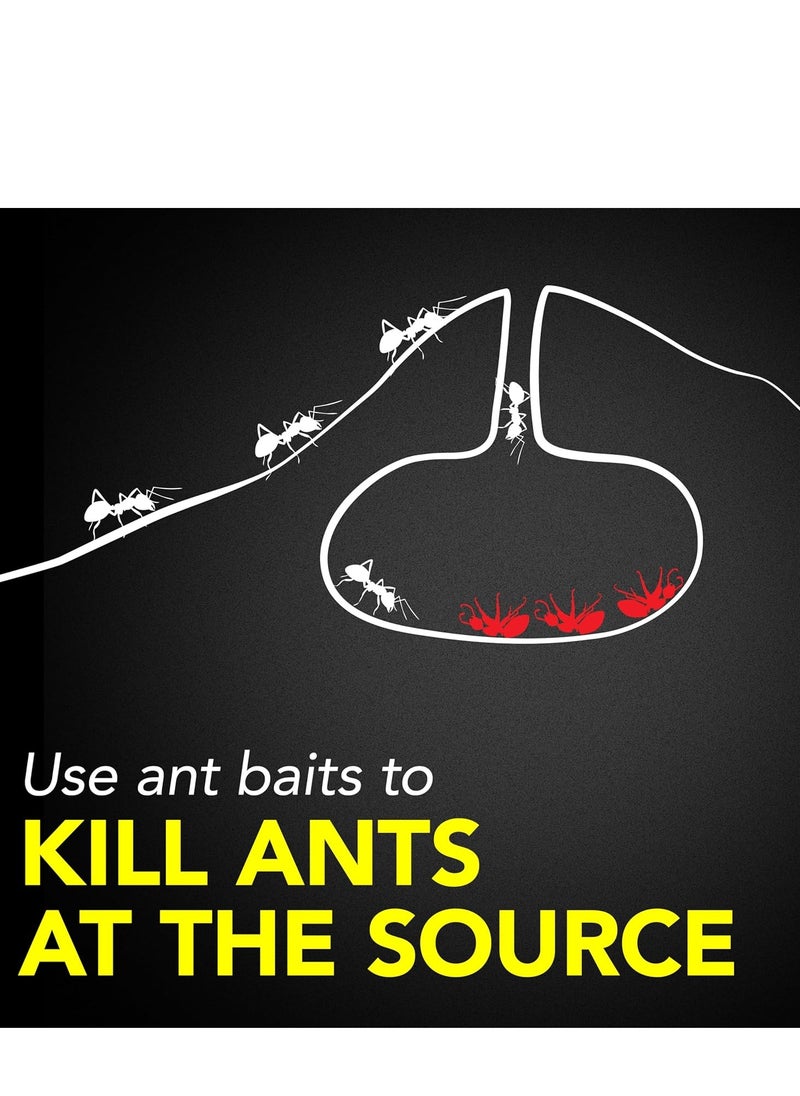 Raid Ant Killer Baits, Child Resistant Bug Killer for Indoor Home Use, 0.24 Oz, 8 Count