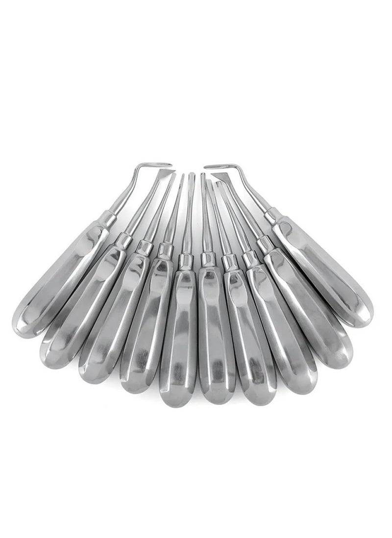 10pcs Dental Elevator Teeth Extraction Tooth Extracting Forceps Stainless Steel Curved Root Lift Elevator Dentist Surgical Tools