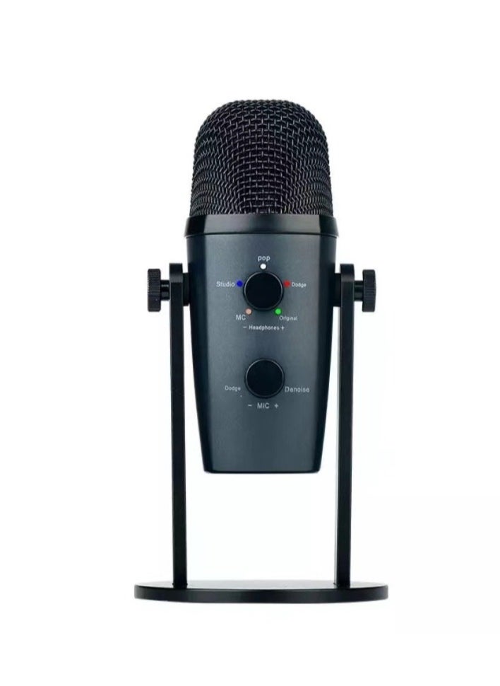 Professional Studio Sound JMARY MC-PW10 USB Studio Condenser Microphone