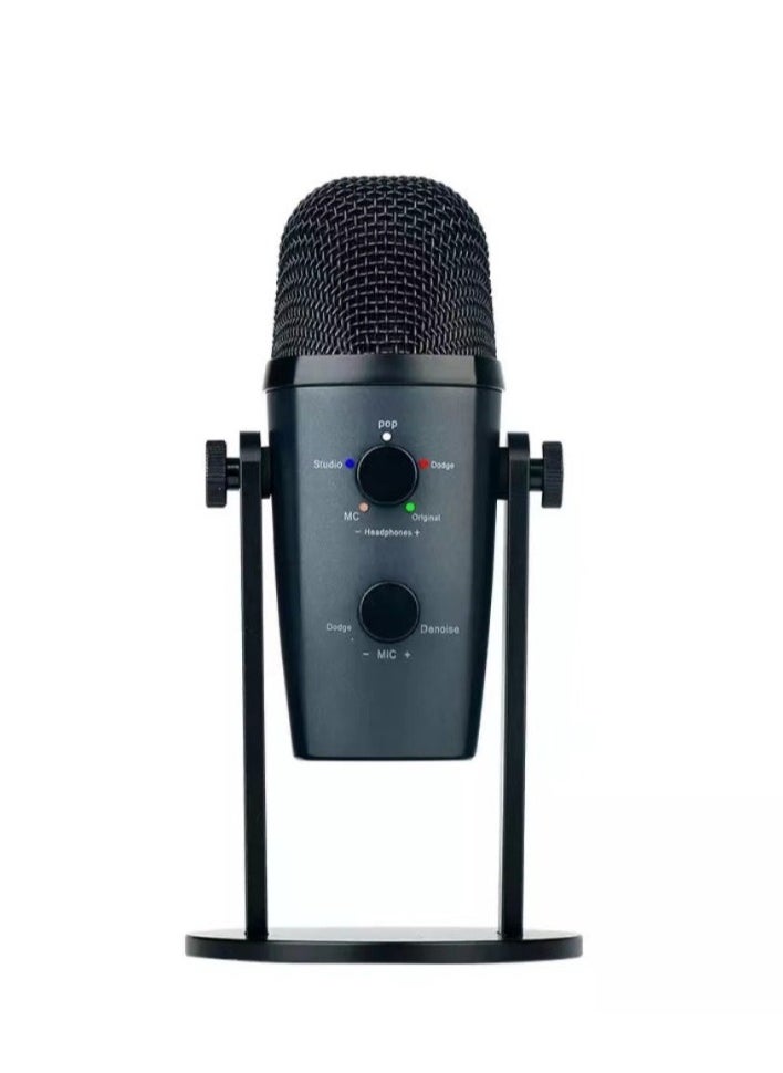 Professional Studio Sound JMARY MC-PW10 USB Studio Condenser Microphone