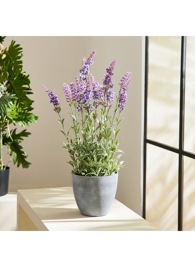 Liara Lavender Potted Plant 50 Cm