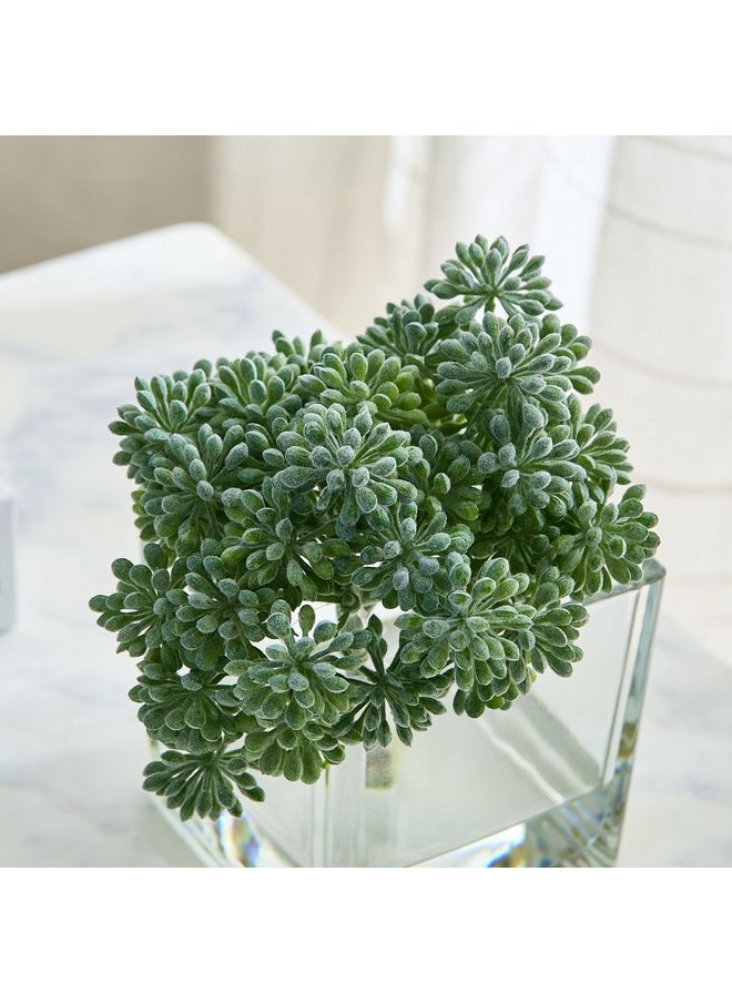 Liara Sedum Pick In Glass 16 X 16 X 17 Cm