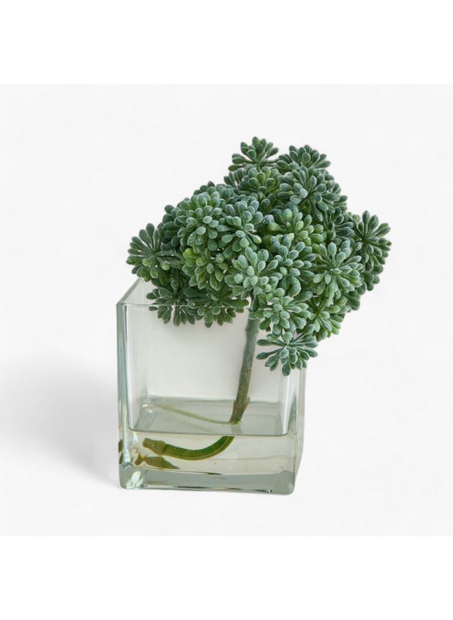 Liara Sedum Pick In Glass 16 X 16 X 17 Cm