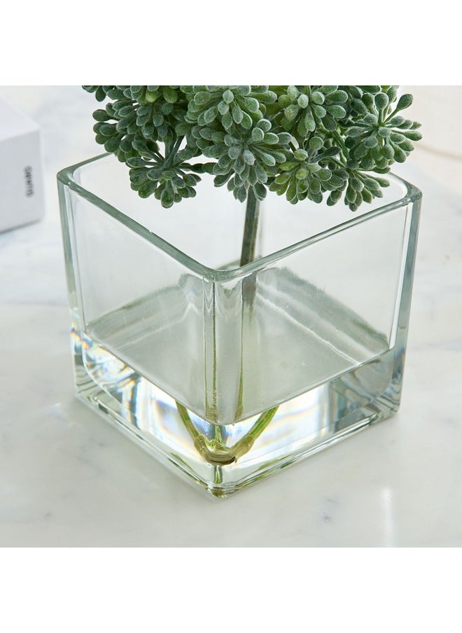 Liara Sedum Pick In Glass 16 X 16 X 17 Cm