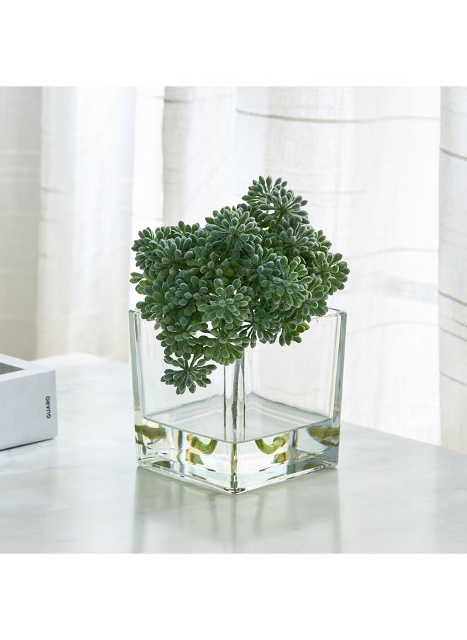 Liara Sedum Pick In Glass 16 X 16 X 17 Cm