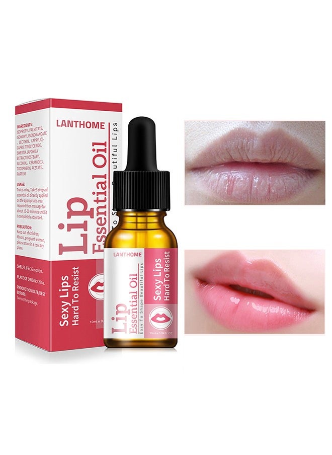 Lip Essential Oil，Brrnoo Lip Essential Oil, Premium Therapeutic Grade Oil Beauty Exfoliating For Lip Care Nourishing & for Aromatherapy, Diffuser, Lips Care, Massage 10mL