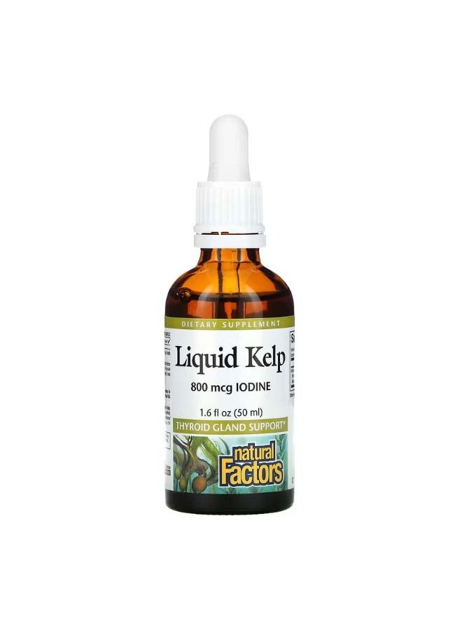 Liquid Kelp 800 mcg 1.6 fl oz 50 ml