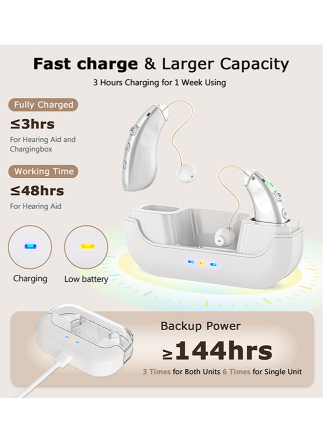 Invisible Hearing Aids for Seniors, , Noise Cancelling, LED Charging Case (Silver)