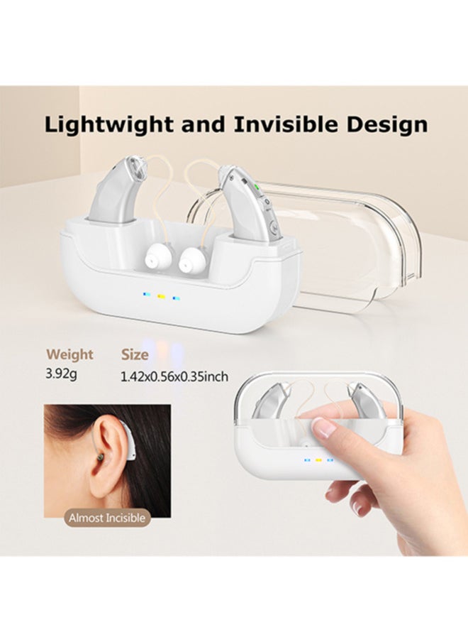 Invisible Hearing Aids for Seniors, , Noise Cancelling, LED Charging Case (Silver)