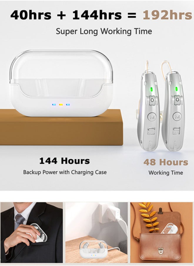 Invisible Hearing Aids for Seniors, , Noise Cancelling, LED Charging Case (Silver)