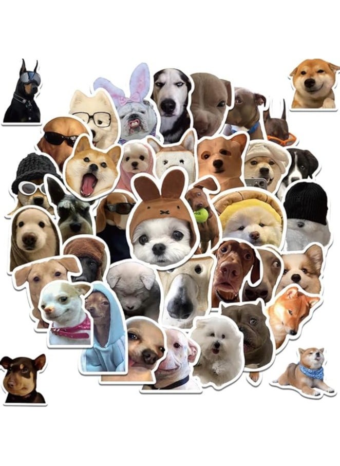 50Pcs Funny Dog Meme Stickers, Cute Puppy Decals, Waterproof Vinyl Pet Stickers Pack for Laptop, Water Bottle, Luggage, Skateboard, Car Bumper, Party Supplies Decor, Durable & Fade-Resistant