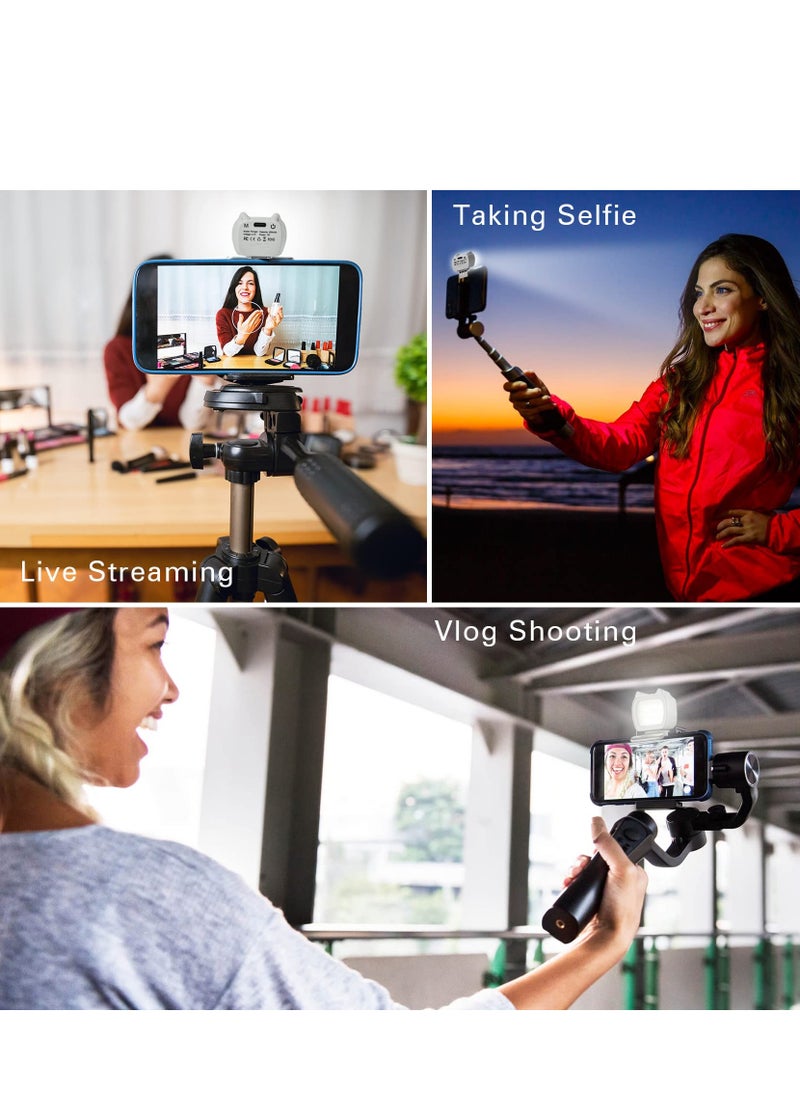 Fill Light for DJI OSMO SE/Insta360 Flow with Three Modes and Adjustable Brightness, Portable Magnetic Mini Cute LED Insta360 Flow, Video Recording