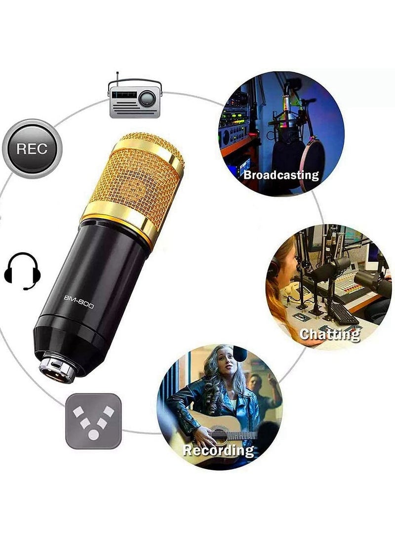 V8 Professional Condenser Microphone Bundle with Live Sound Card for Studio Recording and Broadcasting