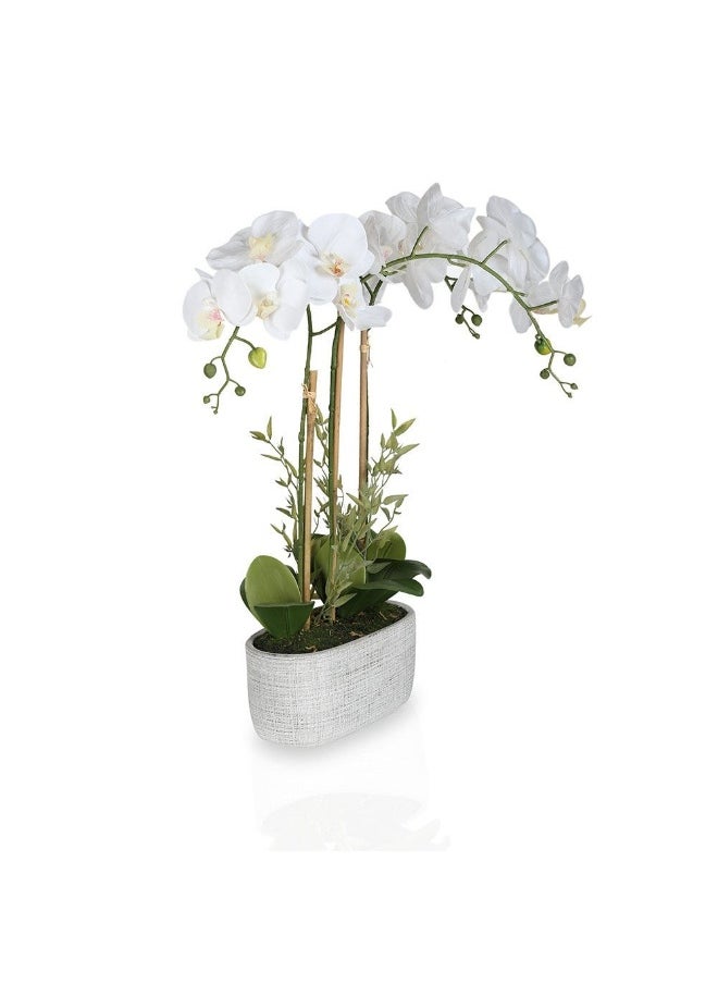 Real Touch White Orchid In Ceramic Pot 63.5 Cm