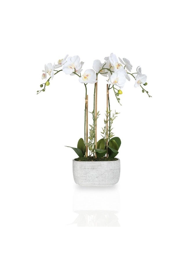 Real Touch White Orchid In Ceramic Pot 63.5 Cm