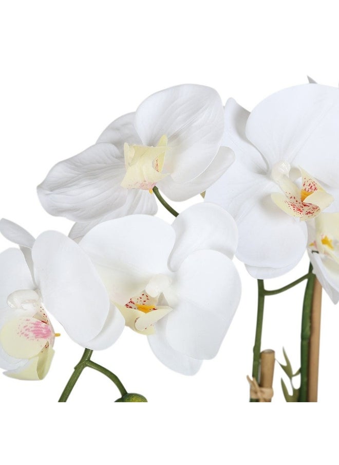 Real Touch White Orchid In Ceramic Pot 63.5 Cm