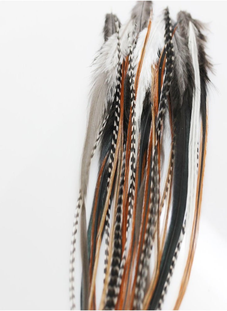 Feather Hair Extension – Natural Beige and Brown Feathers, All Individual Loose Feathers, Ranging From 8 to 12 Inches in Length, With a Total of 25 Feathers, Includes 10 Silicone Micro Beads