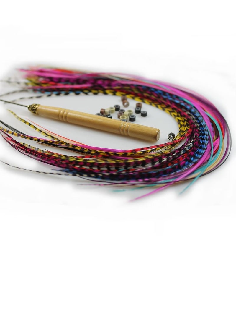 Feather Hair Extension – 100% Real Rooster Grizzly and Solid Feathers, Rainbow Colors Individual Feathers, Ranging From 8 to 11 Inches in Length, Total of 20 Feathers, Includes Beads and Loop Tool Kit