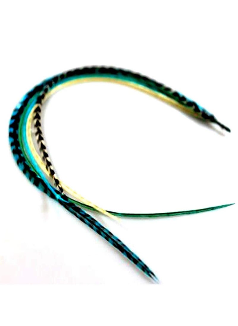 Feather Hair Extension – Turquoise and Grizzly Feathers, All Bonded Together at the Tip, Ranging From 7 to 10 Inches in Length, With a Total of 5 Feathers