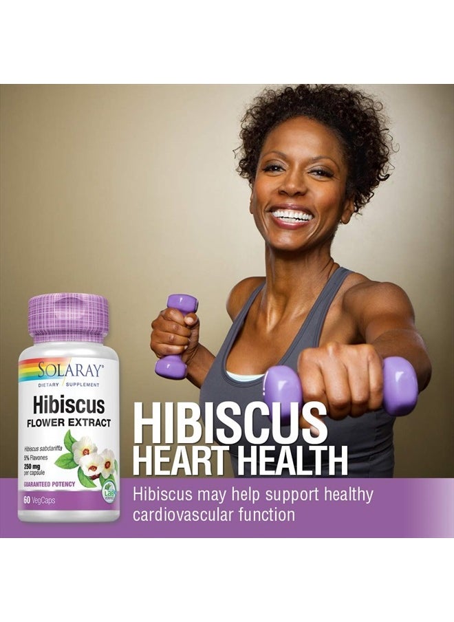 Solaray Hibiscus Flower Extract Capsules | Healthy Cardiovascular Function Support | Non-GMO, Vegan | 60 VegCaps