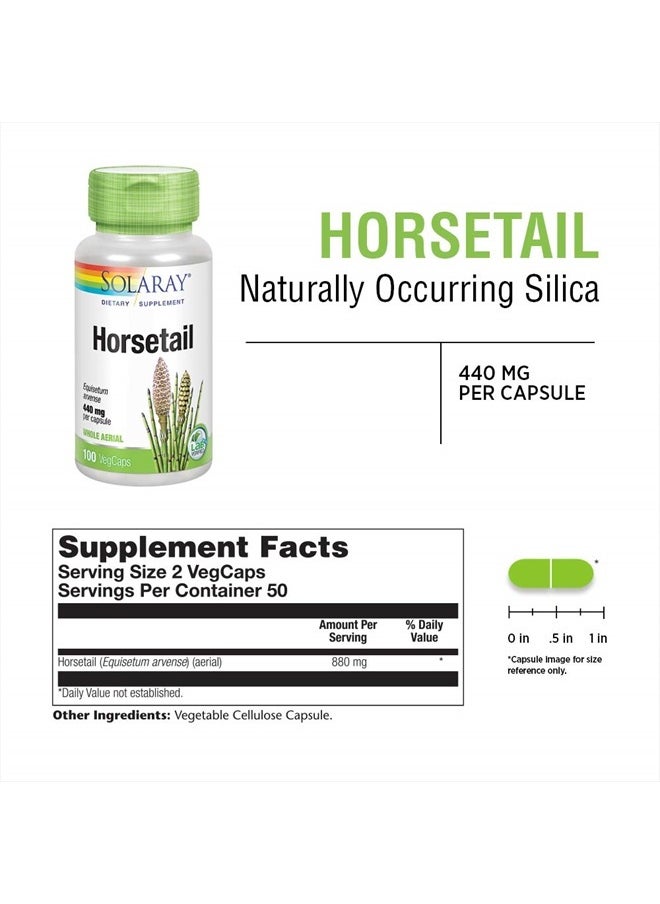 Solaray Horsetail 880 mg | Silica Supplement for Healthy Hair, Skin, Nails & Joint Support | 50 Servings | 100 VegCaps