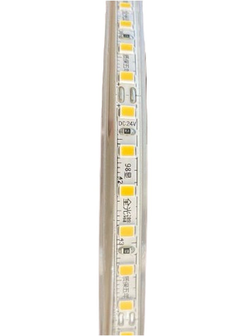 LED Strip Light 10mm 12W/m – High-Quality, Energy-Efficient Lighting (Connectors Not Included)