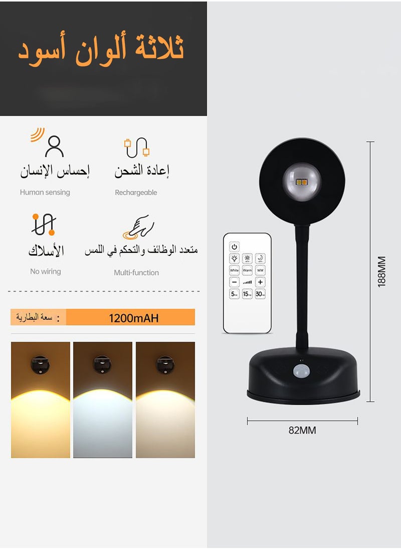 Wall Lamp Motion Sensor Picture Light Cat's Eye Bulb Rechargeable LED 360° Rotation Accent Lighting with Remote Control (Black)