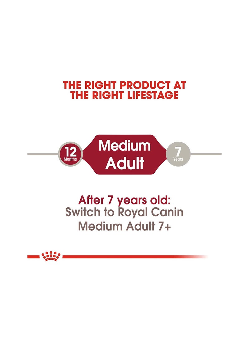 Medium Adult