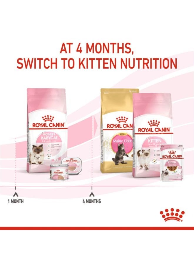 Feline Health Nutrition Mother and Babycat 2 KG