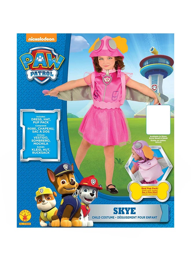 Paw Patrol Skye Costume