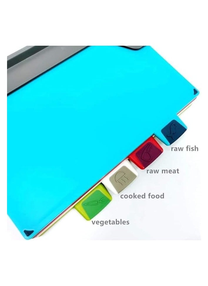 Cutting Board 4 pcs set with Storage Plastic, Chopping Board set with holder, Color coded for food preparation with storage stand, Easy to clean (Option 2)