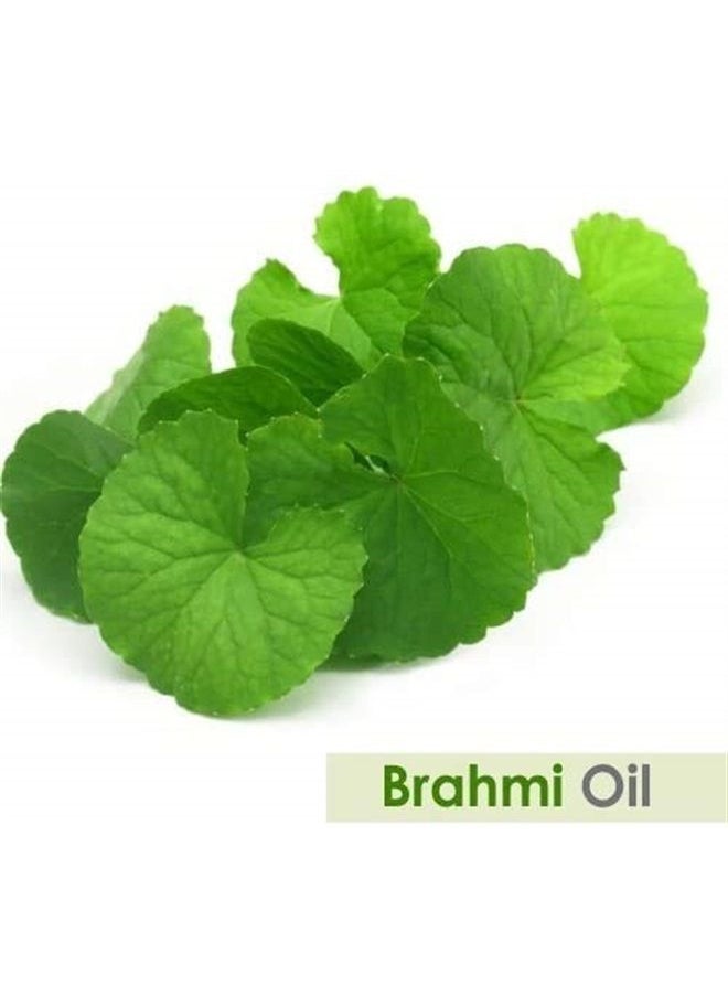 Brahmi Oil (bacopa monnieri) Carrier Oil 100% Pure & Natural Undiluted Unrefined Uncut Organic Standard Oil Cold Pressed Therapeutic Grade Aromatherapy Bulk Oil (50 ML with Dropper)