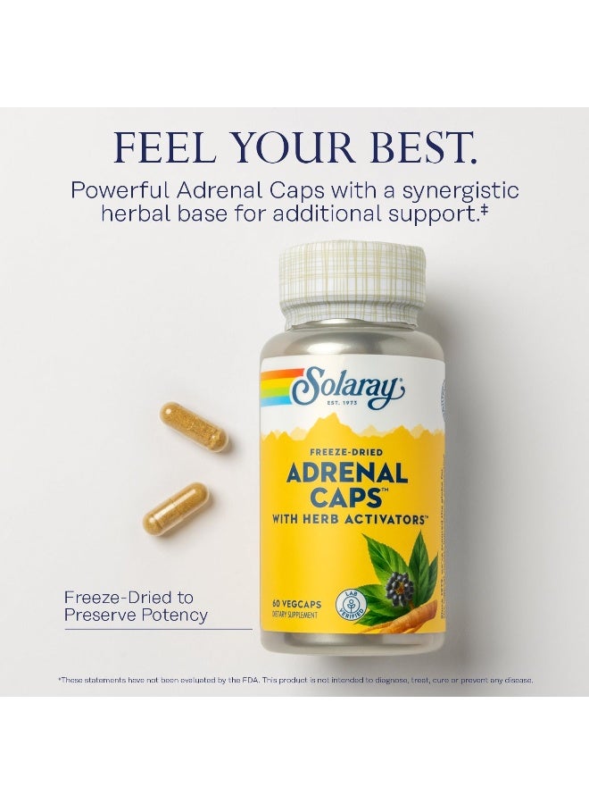 Freeze-Dried Adrenal, 60 VegCaps