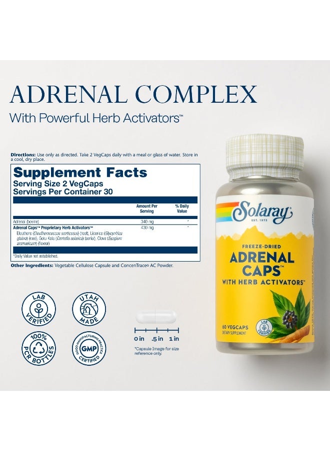 Freeze-Dried Adrenal, 60 VegCaps