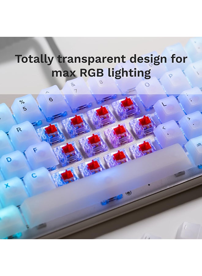 Glorious Fox Mechanical Switches Pre-Lubed - 120 Pieces