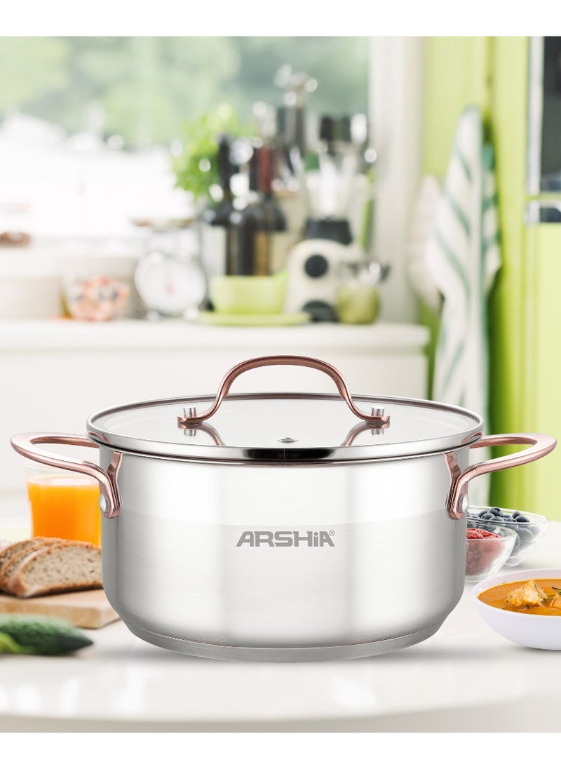 Arshia Premium stainless steel casserole with 2Lid 22cm Stock Pot