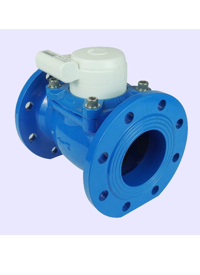 8'' Water Meter WDE-K30