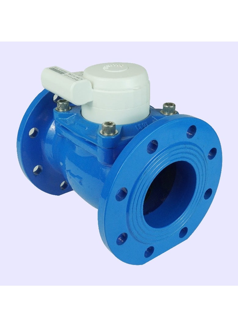 2-1/2'' Water Meter WDE-K50