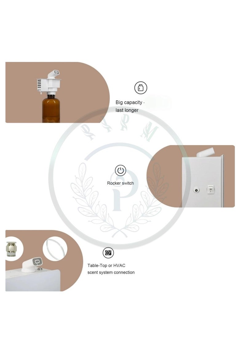 SynergyMist - Bold Design, Exceptional Coverage