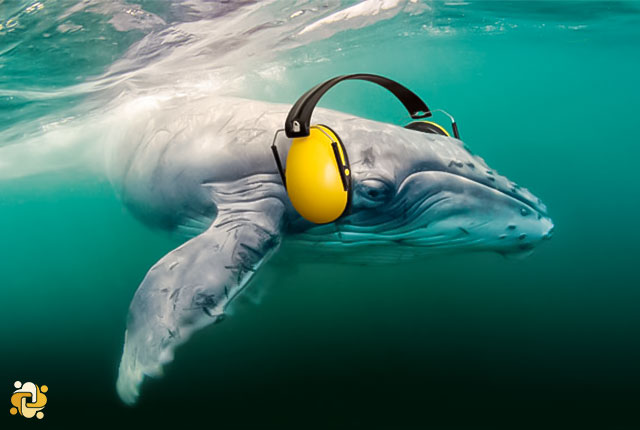 Reducing underwater noise from commercial shipping