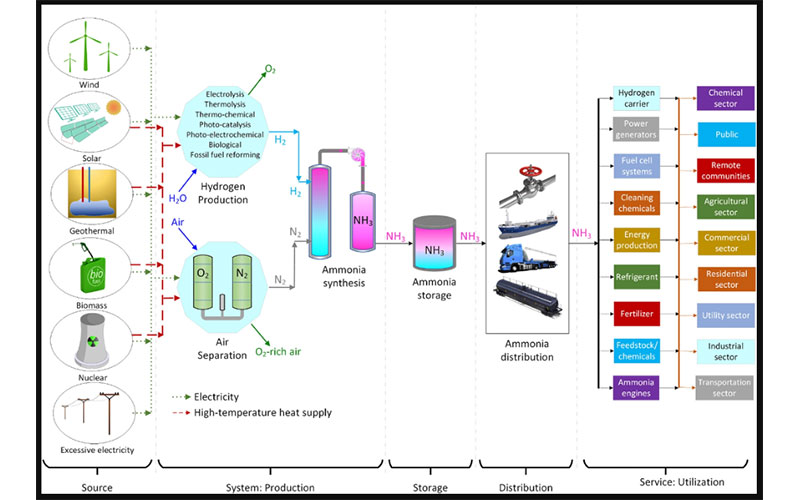 Ammonia as a marine fuel