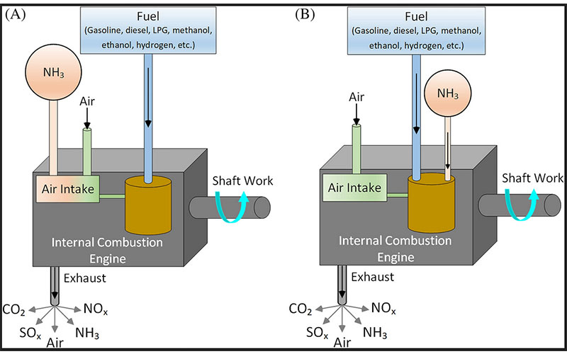 Ammonia as a marine fuel