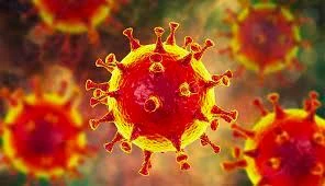 در مورد واریانت لامبدا ویروس کرونا چه می‌دانیم؟