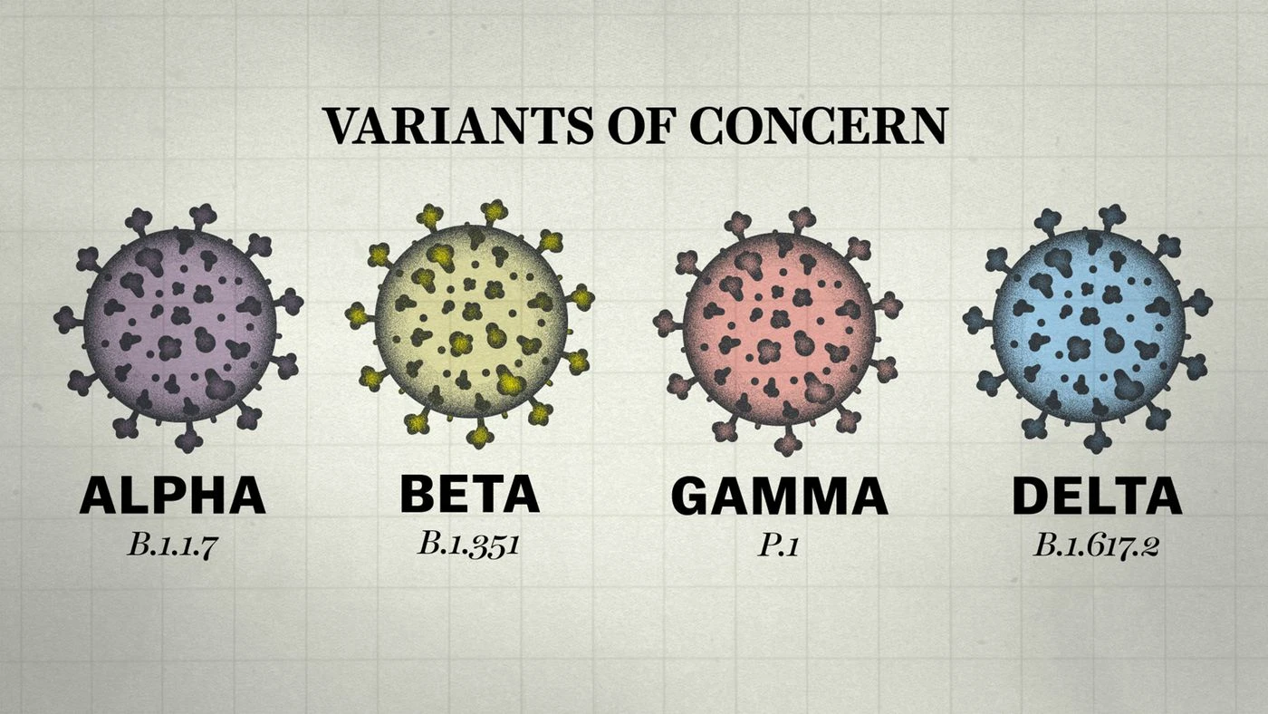 تاثیر واکسن‌های موجود بر سویه‌های مختلف ویروس کرونا چگونه است؟