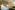  هتل رونیاس