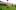 سالار دره