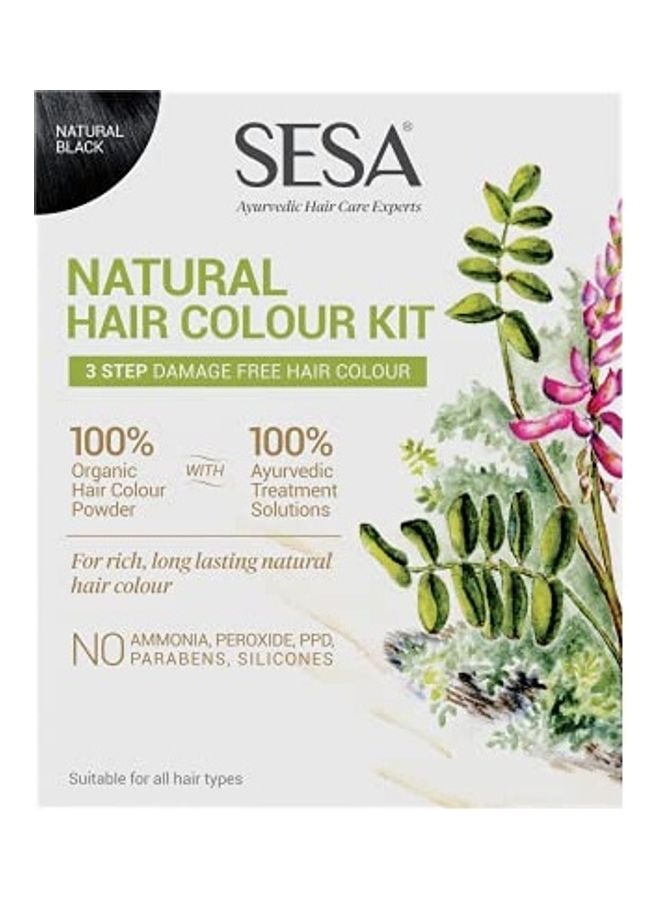 Natural Hair Colour Kit Multicolour 100grams